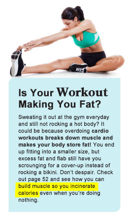 Is your Workout Making You Fat?